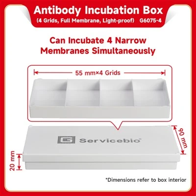 Antibody Incubation Box (4-grid, Light-tight)
