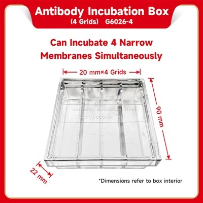 Antibody Incubation Box (4 Grids)