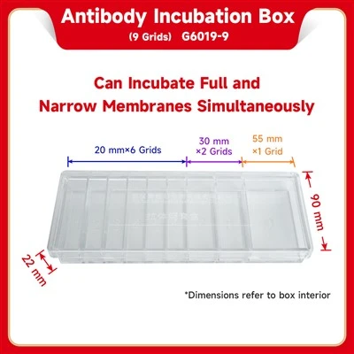 Antibody Incubation Box (9 Grids)