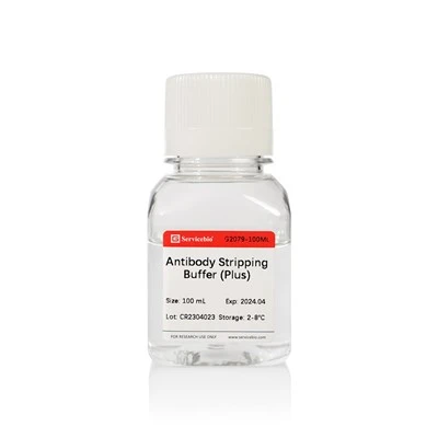 Antibody Stripping Buffer (Plus)
