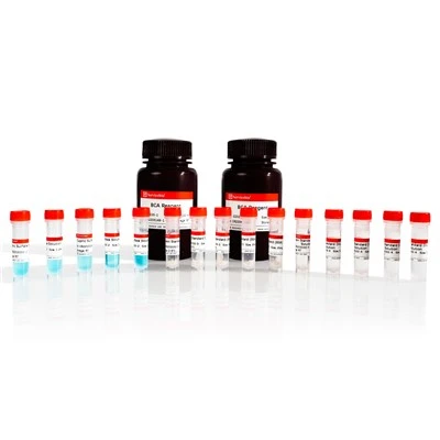 BCA Protein Quantitative Detection Kit