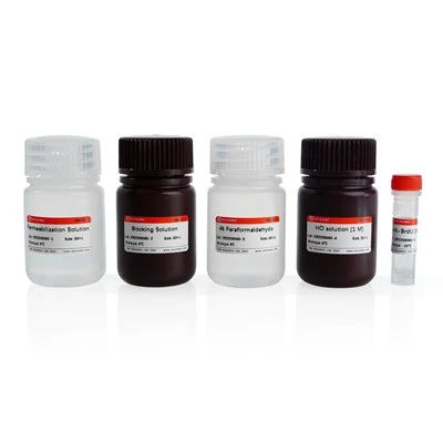 Brdu Detection Kit