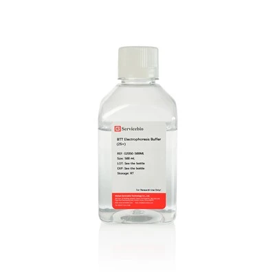 BTT Electrophoresis Buffer (25×)
