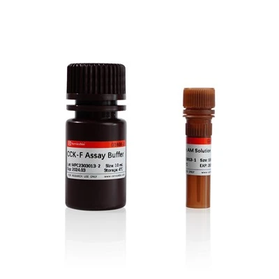Calcein AM Cell Viability Assay Kit（CCK-F）