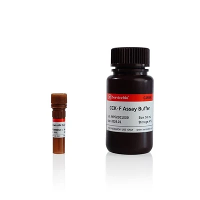 Calcein AM Cell Viability Assay Kit