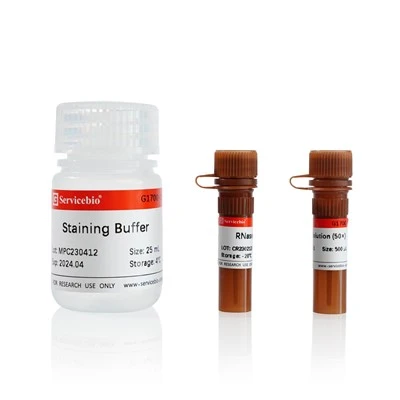 Cell Cycle And Apoptosis Detection Kit