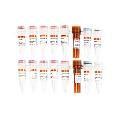 CF488 Tunel Cell Apoptosis Detection Kit