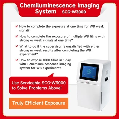 Chemiluminescence Imaging System