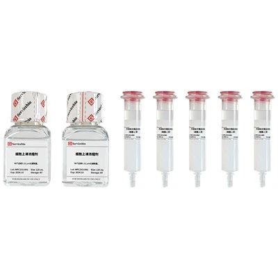 Chromatographic Column For Separating Exosomes (Cell Supernatant)