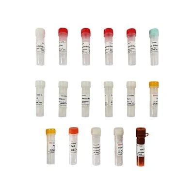 Click-iT 647 Tunel Cell Apoptosis Detection Kit