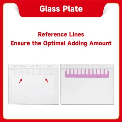 Concave Glass Plate (For Servicebio & Bio-Rad,with Reference Line)