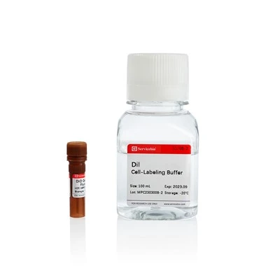 Dil Cell Membrane Red Fluorescence Staining Kit