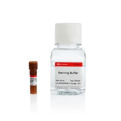 DiO Cell Membrane Green Fluorescence Staining Kit