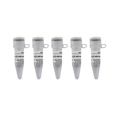 DNTP Mixture (10 MM Each)