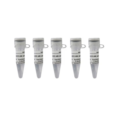 DNTP Mixture (2.5 MM Each)
