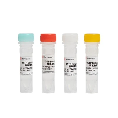 DNTPs Solution Kit（dATP, DGTP, DCTP, DTTP, 100 MM Each）