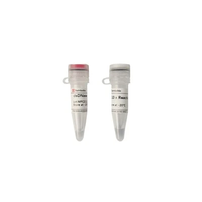 DsDNase (Thermolabile)