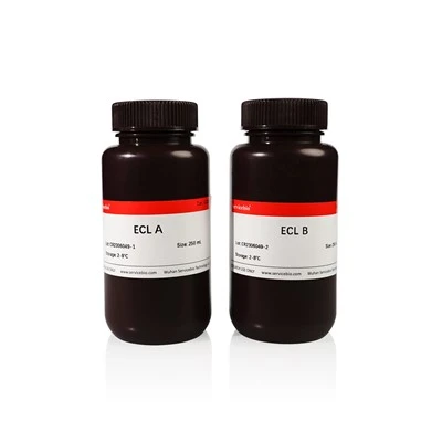 ECL Chemiluminescence Kit （NG)