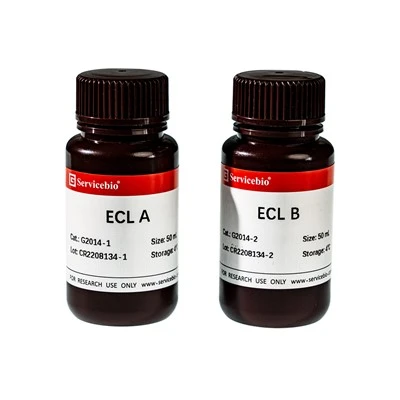 ECL Chemiluminescence Kit (NG)