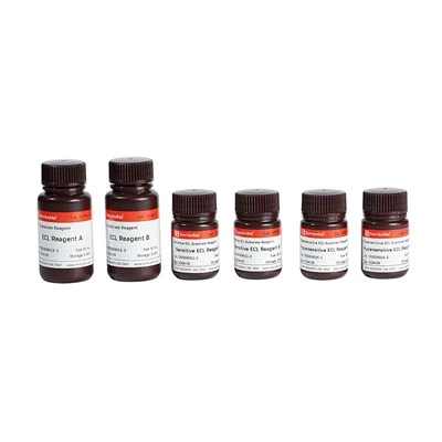 ECL Chemiluminescent Substrate Reagent Combo Pack