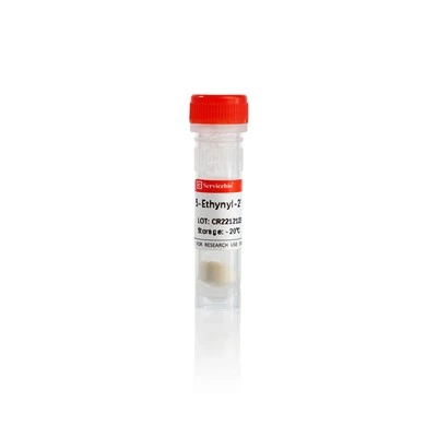 EdU (5-Ethyl-2′-deoxyuridine)