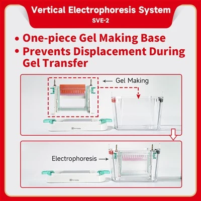 Electrophoresis System (Vertical)