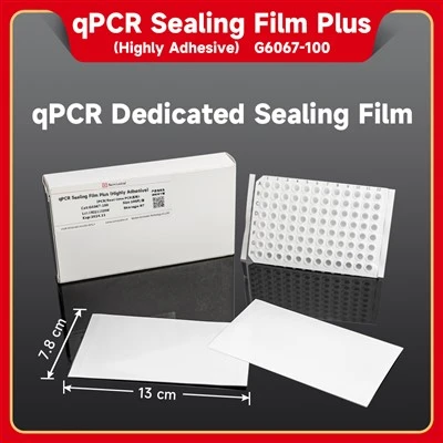 Fluorescence Quantitative PCR Sealing Film (Highly Adhesive)