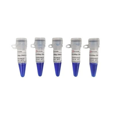 GN100bp DNA Ladder III Plus
