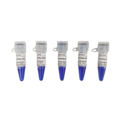 GN100bp DNA Ladder III