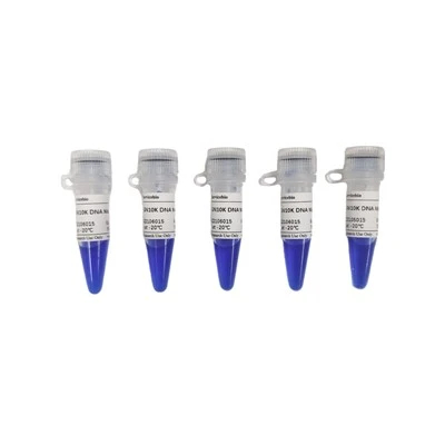 GN10K DNA Marker
