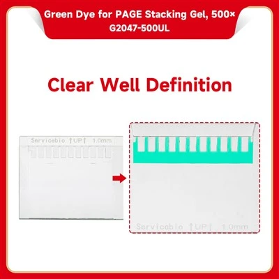 Green Dye For PAGE Stacking Gel, 500×