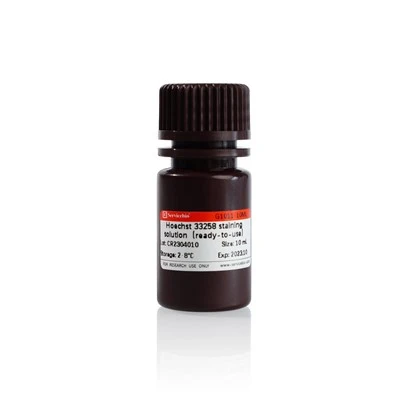 Hoechst 33258 Staining Solution (Ready-To-Use)