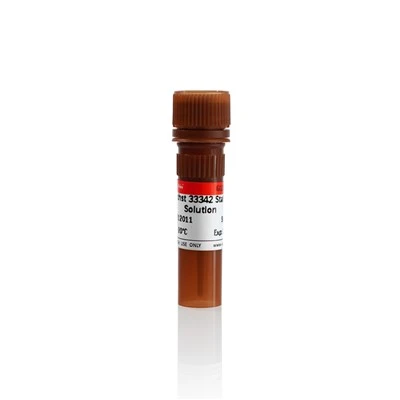Hoechst 33342 Staining Solution