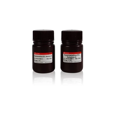 Hypersensitive ECL Chemiluminescence Kit（Femtogram）