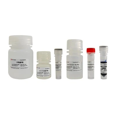 Immunoprecipitation Kit (Protein A/G Agarose)