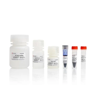 Immunoprecipitation Kit (Protein A/G Magnetic Beads)