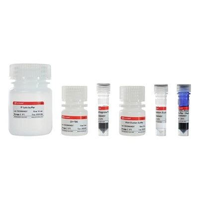 Immunoprecipitation Kit (Protein A Magnetic Beads)