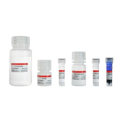 Immunoprecipitation Kit (Protein G Agarose)