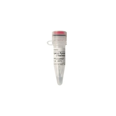 Inorganic Pyrophosphatase (Thermostable)