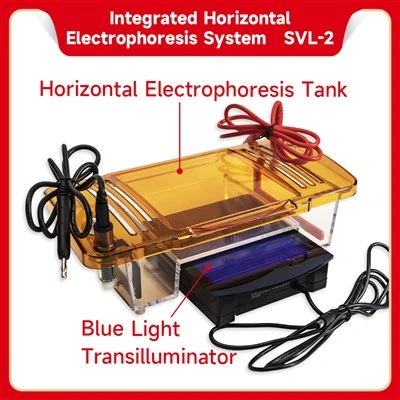 Integrated Horizontal Electrophoresis System