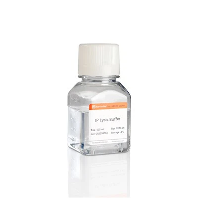 IP Lysis Buffer