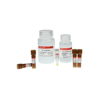 JC-1 Mitochondrial Membrane Potential Assay Kit