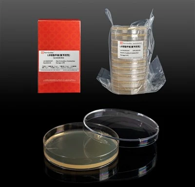 LB Agar Plate (Ampicillin)