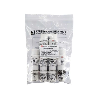 LB Agar, Powder