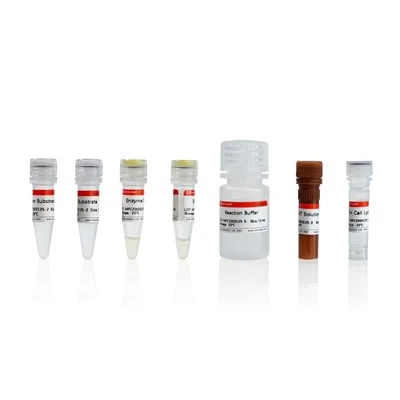 LDH Cytotoxicity Assay Kit