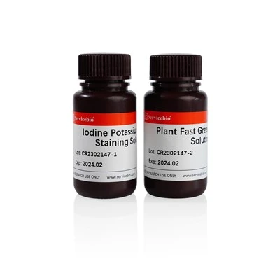 Lodine-Potassium Lodide (I-KI) Dye Solution