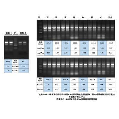 MagBind Animal Tissue/Cell Total RNA Kit