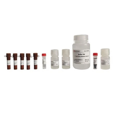 MagBind MethylGold DNA Bisulfite Conversion Kit