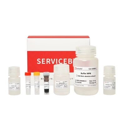 MagBind Virus DNA/RNA Extraction Kit