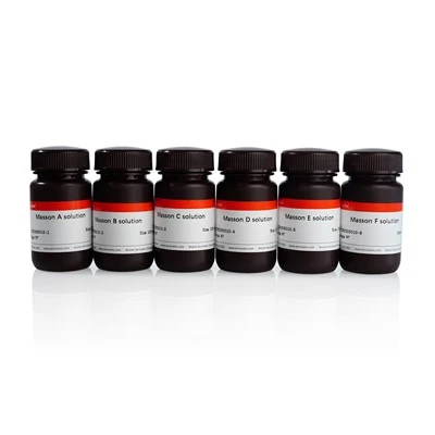 Masson Tricolor Staining Kit